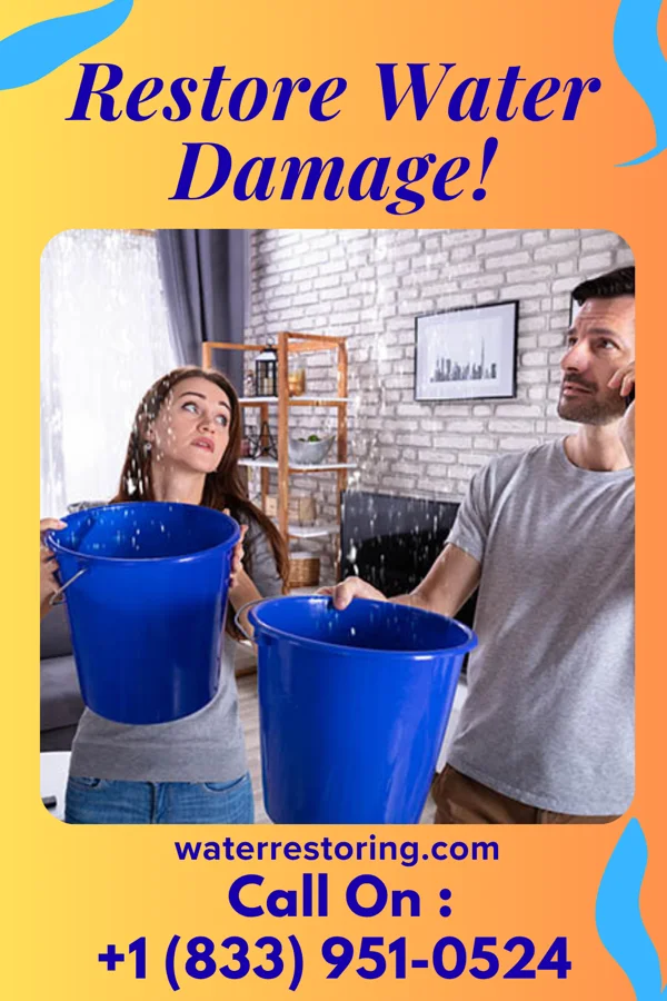 water restoration Atlas Extraction Specialists West Hempstead
